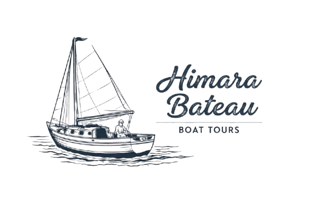 logo removebg preview